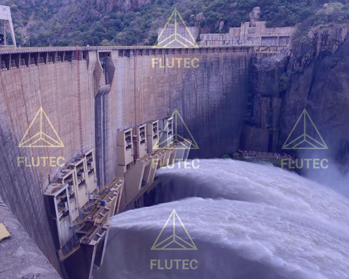 जलविद्युत संयंत्र के लिए कस्टम लिफ्ट हाइड्रोलिक सिलेंडर 1
